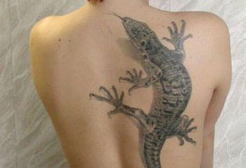 Jaszczurka tatuaż. wartość