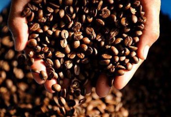 Una taza de café de los granos de café con sus propias manos