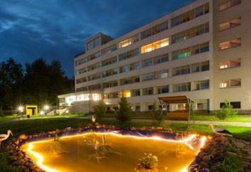 Les meilleurs hôtels Valdaï: Examen