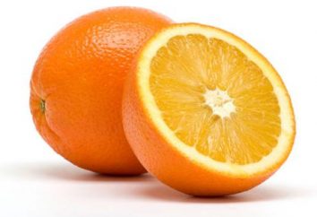 Quante calorie in un arancio – rispondere alla domanda