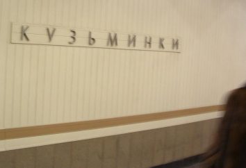 Stacja metra "Kuzminki" (zdjęcie). Co jest oddział?