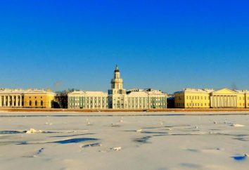 Lebenshaltungskosten in St. Petersburg: Sankt Petersburg, wie gebraucht, um nicht zu verhungern