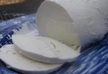 Pourquoi la nécessité de fromage pepsine: recettes simples pour la cuisine maison