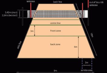 Las dimensiones estándar de la cancha de voleibol