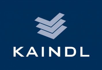 Laminate "Kindle": descripción y comentarios