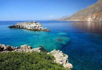 Malia Central Hotel 3 * (Grecia / Creta.): Recensioni Gli utenti