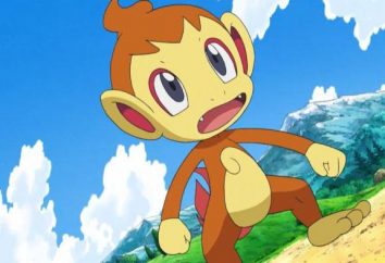 Pokemon Chimchar: Wszystkie informacje na temat zwierzaka