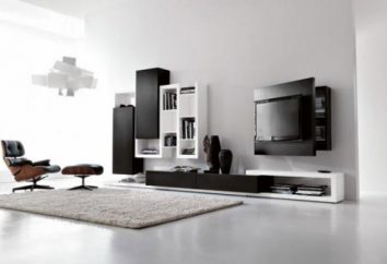 slides moderno para branco sala de estar (ver foto). Desliza para dentro da sala de estar em um estilo moderno