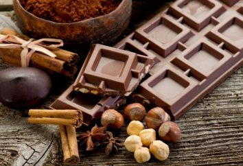 Dulces exquisitos: chocolate suizo