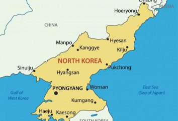 Il regime politico della Corea del Nord: i segni di totalitarismo. Il sistema politico della Corea del Nord