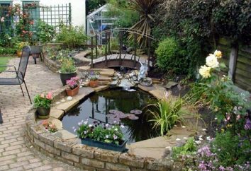 estanque artificial en el jardín, productos de muebles secretos