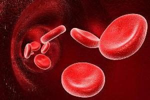 Die erste negative Blutgruppe: ihre Eigenschaften und Auswirkungen auf die Schwangerschaft.