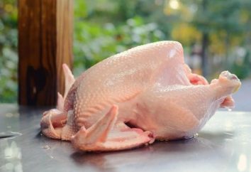 Consejos sobre cómo tallar el pollo en casa