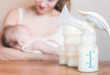 Ciò che congelare il latte materno a casa?
