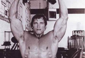 Arnold banco. brazos oscilantes