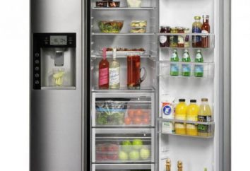 Pourquoi rêver d'un réfrigérateur? La réponse racontera le livre de rêve