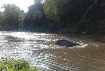 Rzeka Miass: historia i cechy geograficzne. Rzeka Miass – zdjęcie i opis