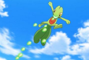 Pokemon Tricot: una descrizione del carattere