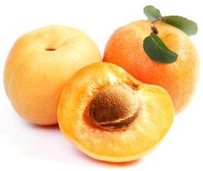 Aprikosenöl. Anwendung & Rezepte