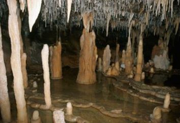 Stalagmiti e stalattiti: metodi di educazione, le differenze e le somiglianze