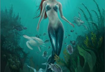 Wie die Kraft einer Meerjungfrau zu bekommen? Die wirkliche Macht der Meerjungfrau aus Wasser