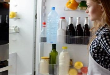 La principale raison pour laquelle ne fonctionne pas réfrigérateur et congélateur fonctionne