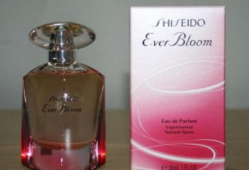 "¿Alguna vez Shiseido Bloom": opiniones de clientes