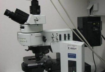 mikroskopii fluorescencyjnej: zasady metody