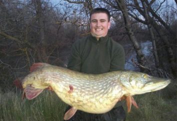 Pike pesca marzo – si tratta di un pesce!