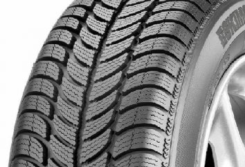 Os pneus de Inverno Sava Eskimo S3: comentários