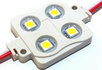 modulo del LED: recensioni, le descrizioni, i tipi e recensioni