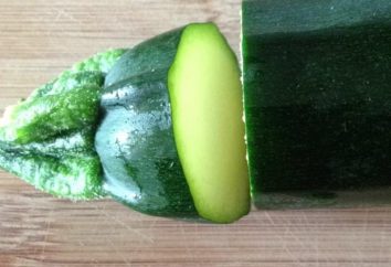 Perché zucchine amara: i motivi principali