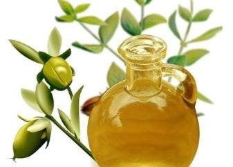 L'huile de jojoba – cosmétique universel