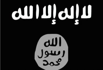Militantes "estado islámico". organización terrorista islamista