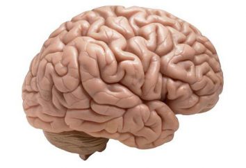 aracnoidite cerebrale del cervello: i sintomi, il trattamento, le conseguenze