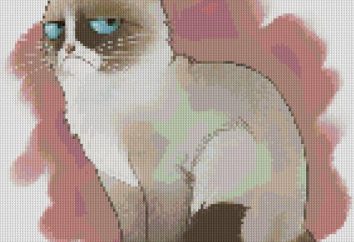 Haft krzyżykowy, „kot” Schemat – najbardziej popularny i piękny