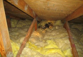 Wie wird man ohne die Verwendung von Gift in dem Hühnerstall von Ratten befreien?