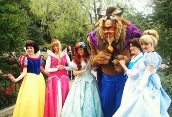 12 Anforderungen an Bewerber für die Position der Disney Princess