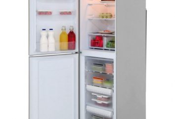 Réfrigérateur Indesit BIA 18: spécifications, commentaires