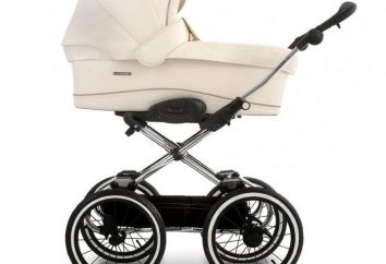 Wózki Navington – najlepszy wybór dla rodziców