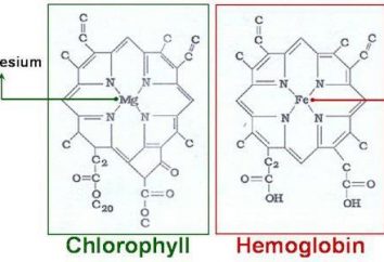 compostos complexos: nomenclatura e classificação