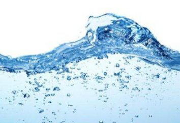 A medida que una persona utiliza las propiedades del agua? El agua en la vida de una persona
