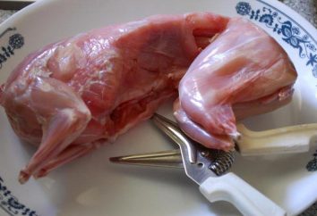Viande de lapin: dommages et bénéfices, valeur nutritionnelle et caractéristiques de cuisson