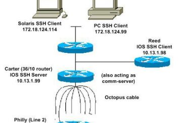 SSH Cliente: ajuste. Melhor SSH-cliente