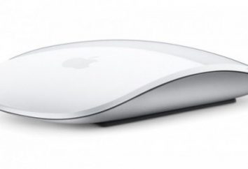 A Apple Magic Mouse mouse: comentários. Como conectar um mouse da Apple Magic Mouse?