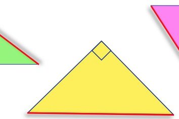 Jak znaleźć obszar trójkąta prostokątnego w nietypowy sposób