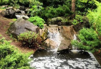 Jardín japonés en Moscú merece una visita!