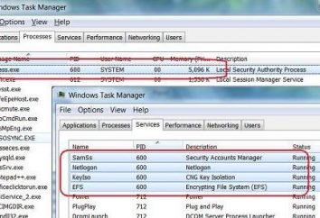 Servicio lsass.exe carga la CPU (Windows 7): ¿cuál es la causa y cómo solucionar el problema?