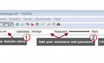 programa FileZilla: como usar? Instrução para iniciantes