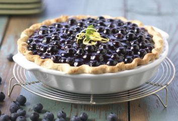 Como cozinhar um bolo com blueberries: receitas